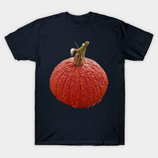 Orange Bumpy Pumpkin for Halloween Decoration T-Shirt by ellenhenryflorals